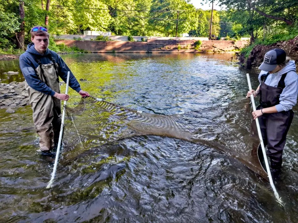 Fall 2024 Pigeon Creek Fish Survey Results: An Eye-Popping&nbsp;Catch