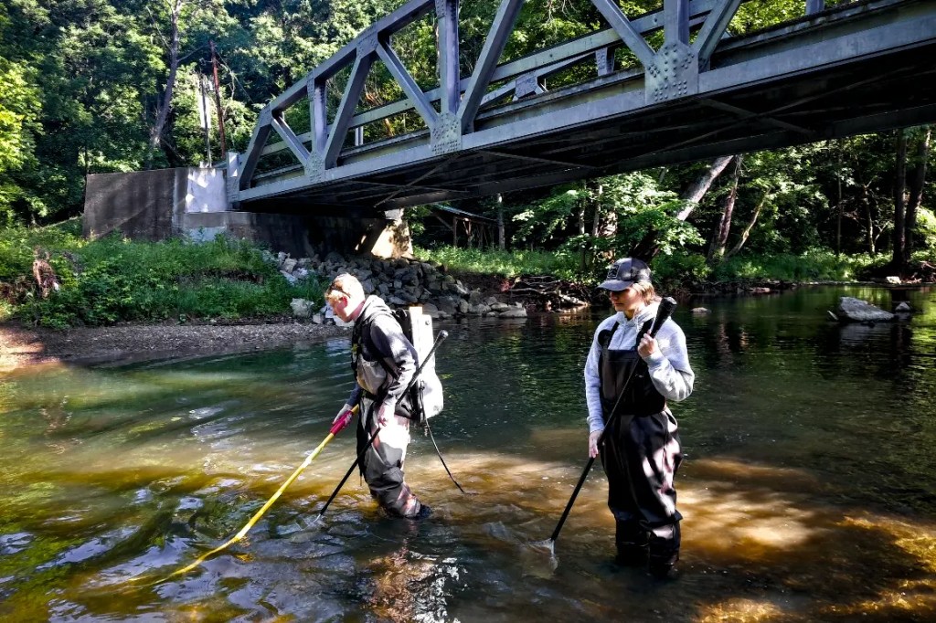 Stream Health and Fishery Potential: Positive Findings from Pigeon Creek&nbsp;Survey