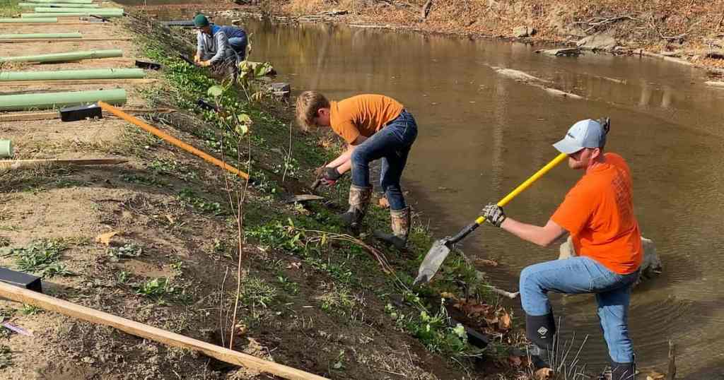 Preventing Erosion Through Native&nbsp;Planting